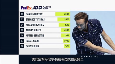 仅展现了马 仅展现了马